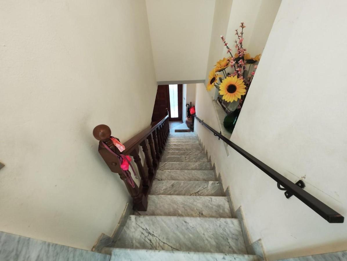 Appartamento Bellavista 马格拉新堡 外观 照片